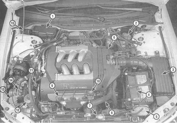 Устройство, обслуживание и ремонт Honda Accord -Проверка состояния и замена расположенных в двигательном отсеке шлангов